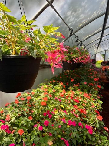 3910 N Pleasant Lake Drive NW, Hackensack, MN 56452