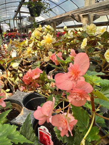 3910 N Pleasant Lake Drive NW, Hackensack, MN 56452