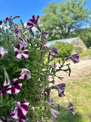 3910 N Pleasant Lake Drive NW, Hackensack, MN 56452