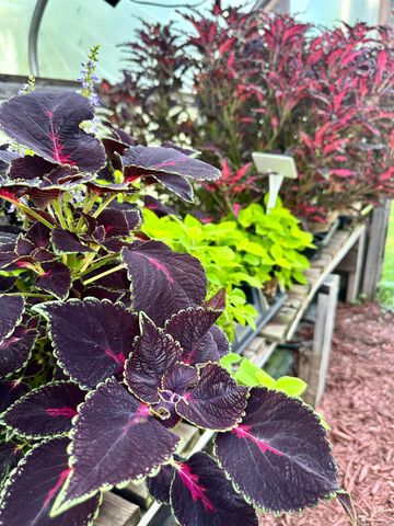 3910 N Pleasant Lake Drive NW, Hackensack, MN 56452