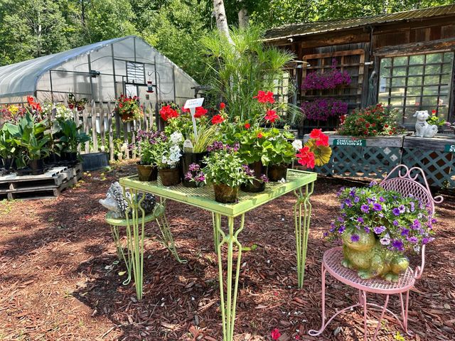 3910 N Pleasant Lake Drive NW, Hackensack, MN 56452