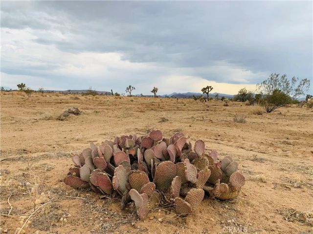 58040 Junipero, Yucca Valley, CA 92284