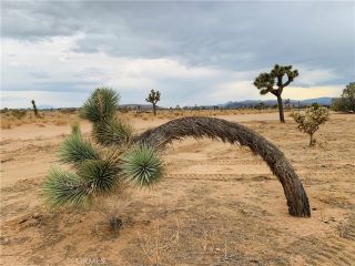 58040 Junipero, Yucca Valley, CA 92284
