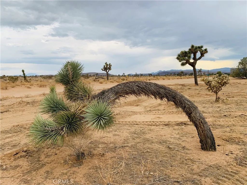 58040 Junipero, Yucca Valley, CA 92284