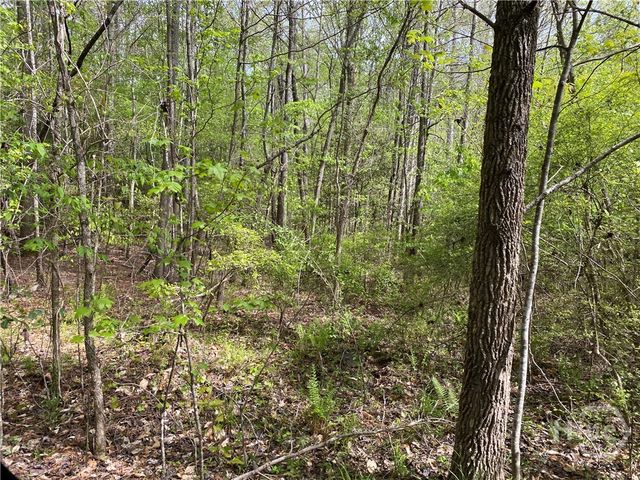 2B Curry Falls Trail Road 2B, Athens, GA 30607