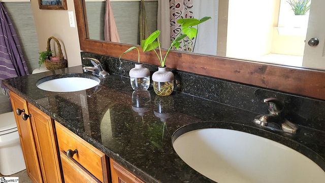 3 Dolerite Drive, Taylors, SC 29687