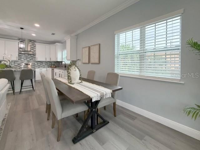 1083 S POINTE ALEXIS DRIVE, Tarpon Springs, FL 34689