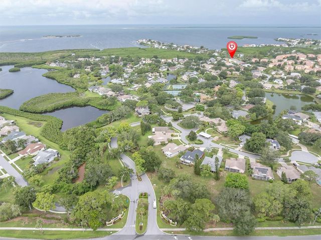 1083 S POINTE ALEXIS DRIVE, Tarpon Springs, FL 34689