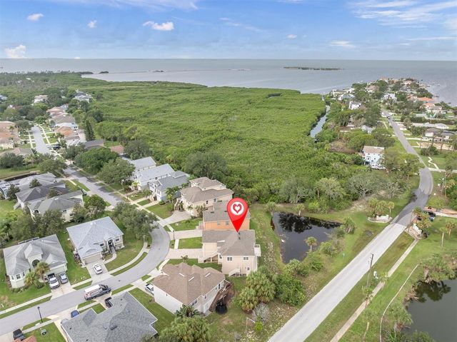 1083 S POINTE ALEXIS DRIVE, Tarpon Springs, FL 34689