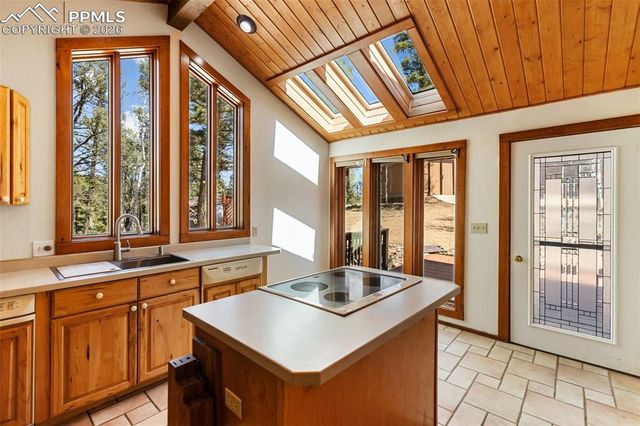 351 Porphry Road, Divide, CO 80814