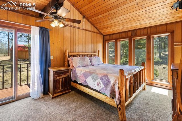 351 Porphry Road, Divide, CO 80814