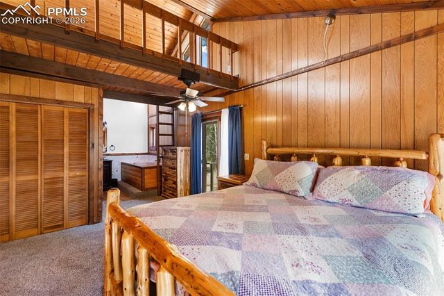 351 Porphry Road, Divide, CO 80814