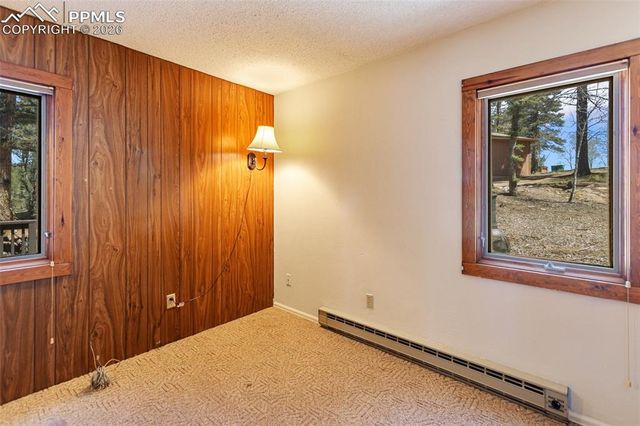 351 Porphry Road, Divide, CO 80814