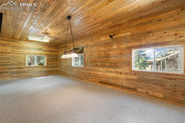 351 Porphry Road, Divide, CO 80814