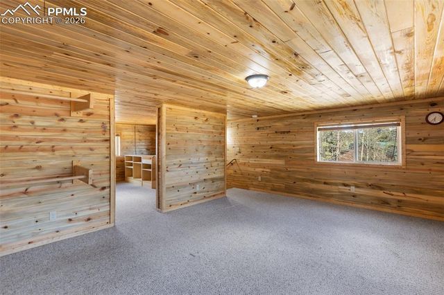 351 Porphry Road, Divide, CO 80814