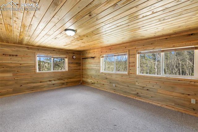 351 Porphry Road, Divide, CO 80814
