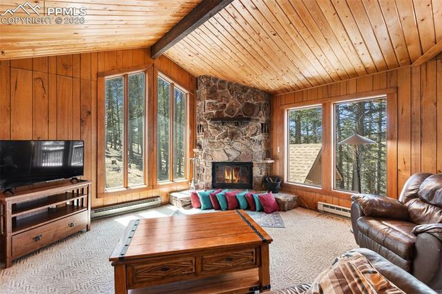 351 Porphry Road, Divide, CO 80814