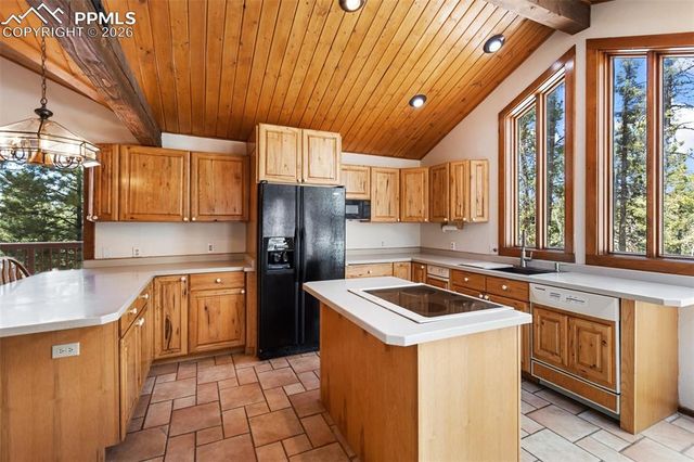 351 Porphry Road, Divide, CO 80814