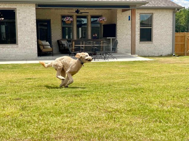 125 Allie Jo Lane, Sheridan, AR 72150