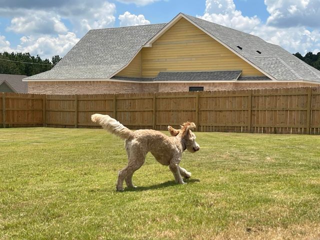 125 Allie Jo Lane, Sheridan, AR 72150