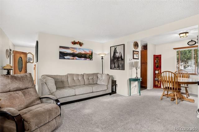750 Century Place, Monument, CO 80132