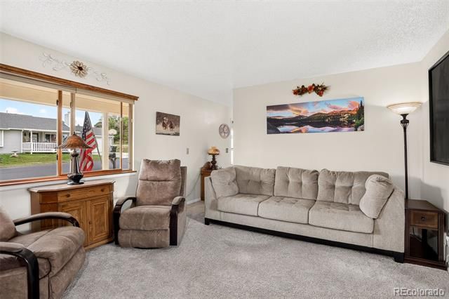 750 Century Place, Monument, CO 80132
