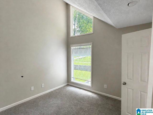 4601 SYLVANER LANE, Hoover, AL 35244