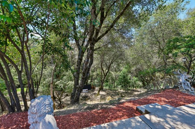 3596 Cedar Ravine Rd, Placerville, CA 95667