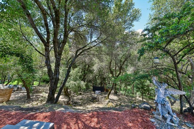 3596 Cedar Ravine Rd, Placerville, CA 95667