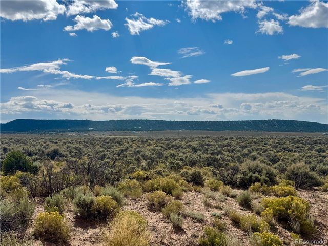 lot 3425 McLaughlin Road, Fort Garland, CO 81133