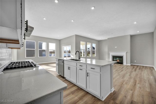 35981 Baldauf Crossing, North Ridgeville, OH 44039