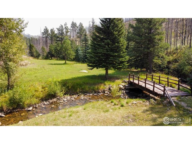27667 Buckhorn Rd, Bellvue, CO 80512