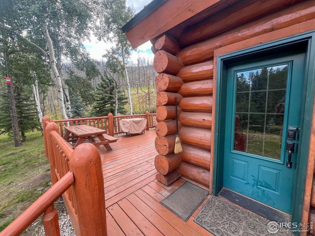 27667 Buckhorn Rd, Bellvue, CO 80512