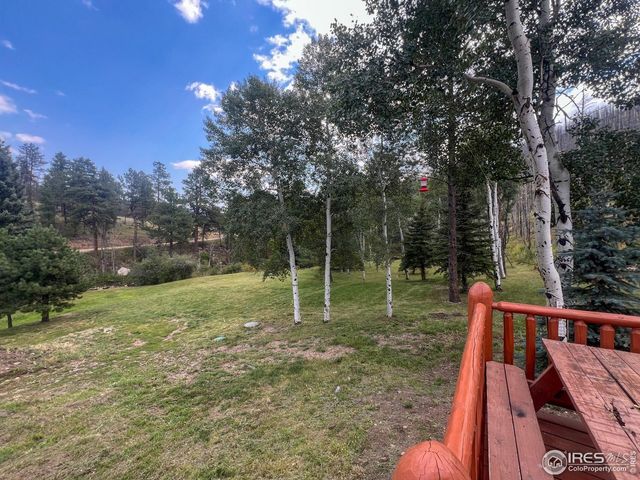 27667 Buckhorn Rd, Bellvue, CO 80512