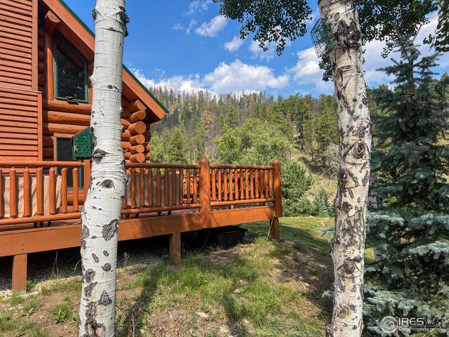 27667 Buckhorn Rd, Bellvue, CO 80512