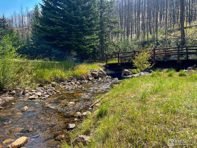 27667 Buckhorn Rd, Bellvue, CO 80512