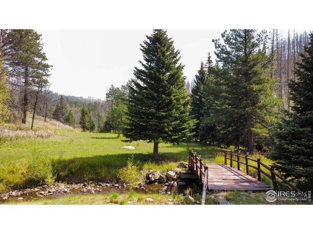 27667 Buckhorn Rd, Bellvue, CO 80512