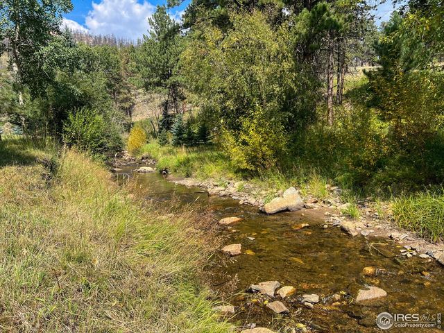 27667 Buckhorn Rd, Bellvue, CO 80512