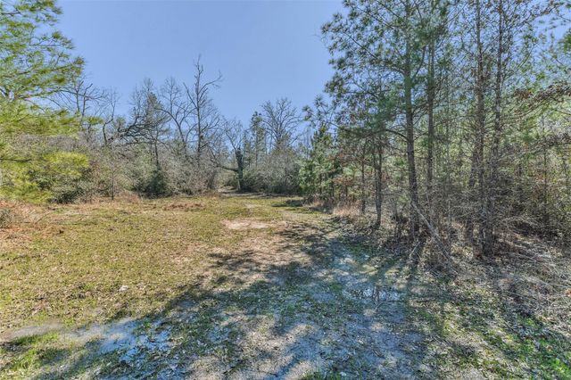 35 Old Sign Rd Fm 2989, Midway, TX 75852