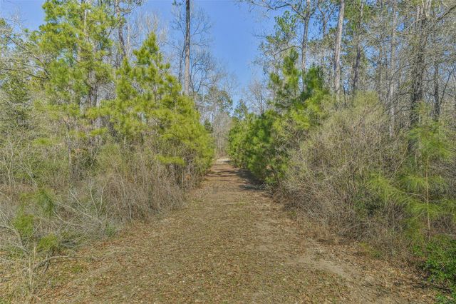 35 Old Sign Rd Fm 2989, Midway, TX 75852