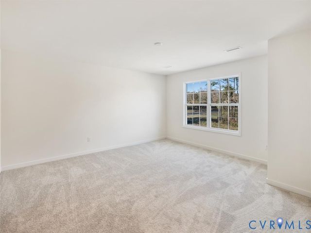 11819 Farnham Woods Dr, Midlothian, VA 23112