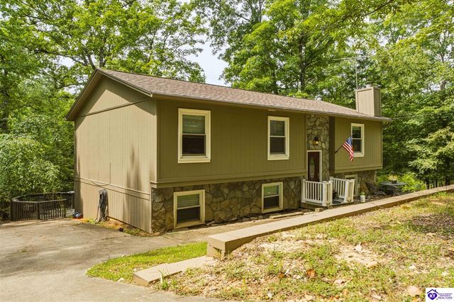 957 Wildflower Ridge Road, Brandenburg, KY 40108