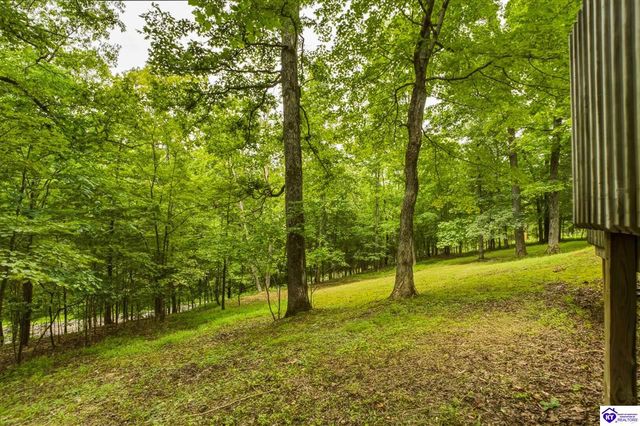 957 Wildflower Ridge Road, Brandenburg, KY 40108