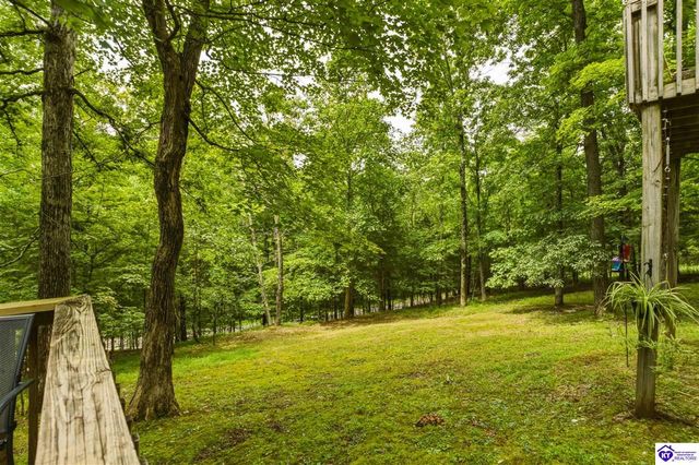 957 Wildflower Ridge Road, Brandenburg, KY 40108
