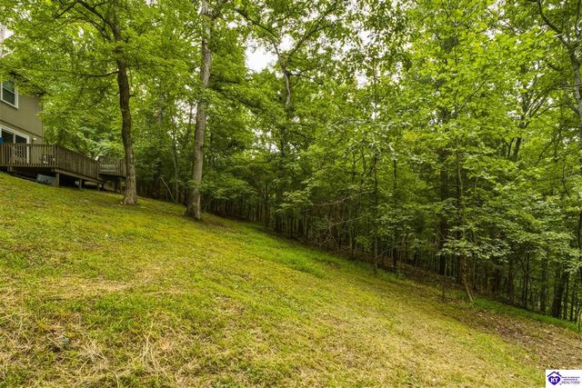 957 Wildflower Ridge Road, Brandenburg, KY 40108