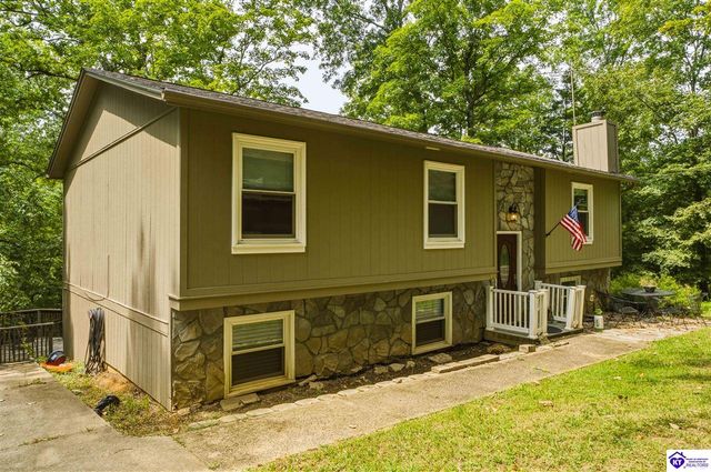 957 Wildflower Ridge Road, Brandenburg, KY 40108