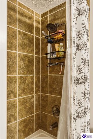 957 Wildflower Ridge Road, Brandenburg, KY 40108