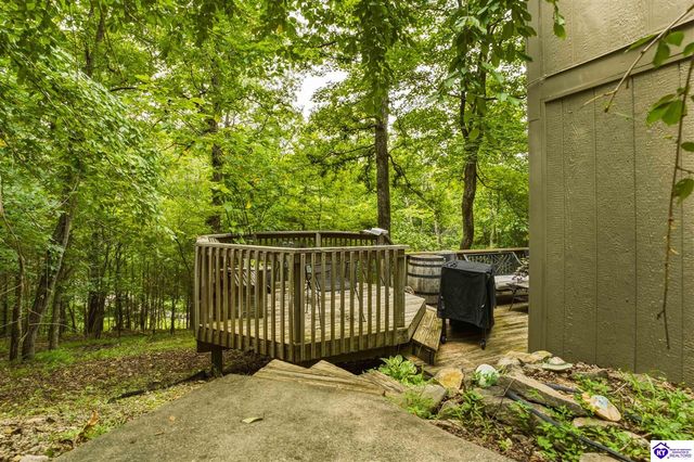 957 Wildflower Ridge Road, Brandenburg, KY 40108