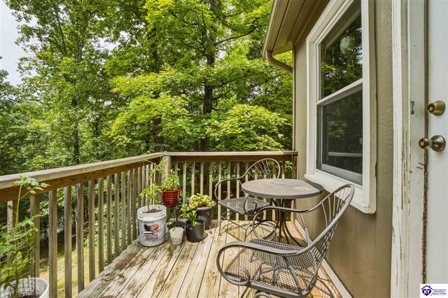 957 Wildflower Ridge Road, Brandenburg, KY 40108