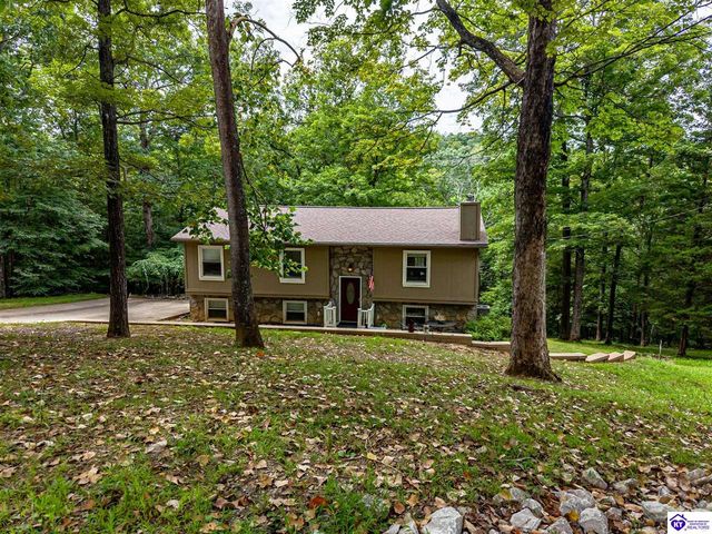 957 Wildflower Ridge Road, Brandenburg, KY 40108